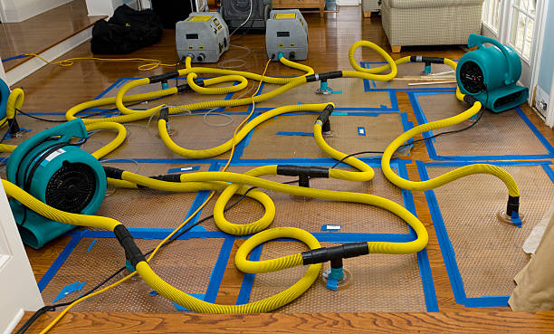 Professional Flood Damage Restoration technician working in Bel Air, MD